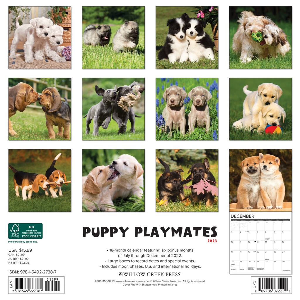 2023 Puppy Playmates Wall Calendar Michaels